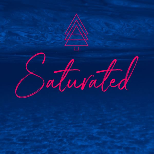 SATURATED | THE SACRIFICE