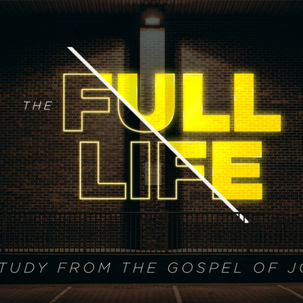 THE FULL LIFE | YOU MUST BE BORN AGAIN