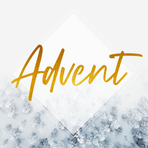 ADVENT | LIGHT OF THE WORLD