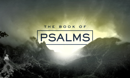PSALMS | A LIFE THAT LACKS NOTHING
