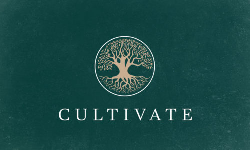 CULTIVATE | LUKE 12